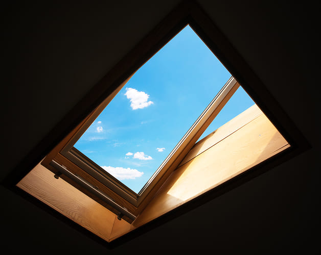 Expertise velux